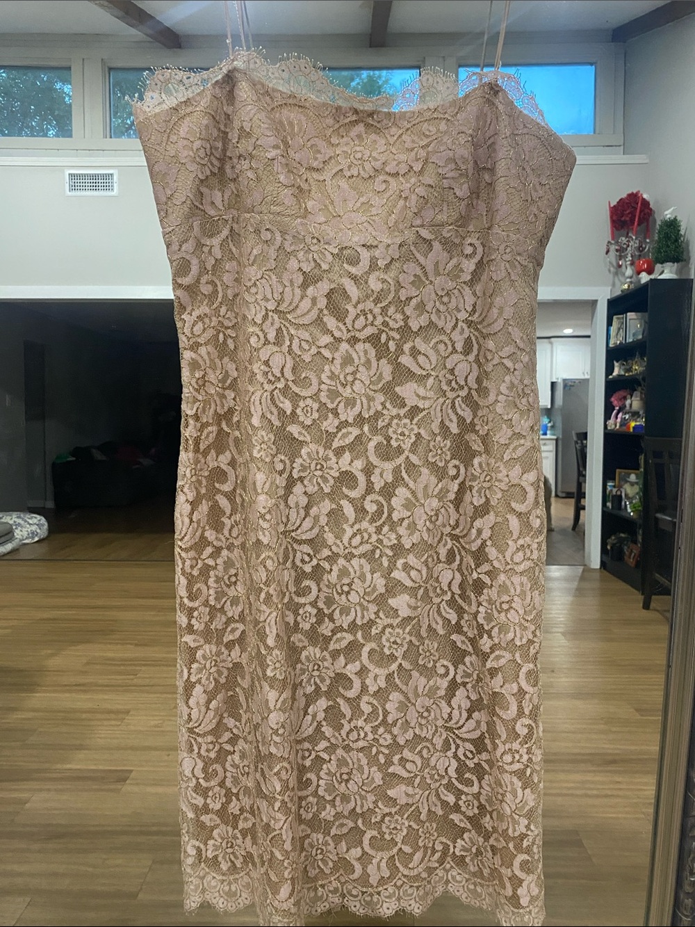 Muse Strapless Lace Cocktail Dress in Blush and Nude